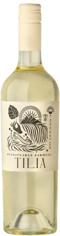 Tilia Torrontes Mendoza 2024 750 ML