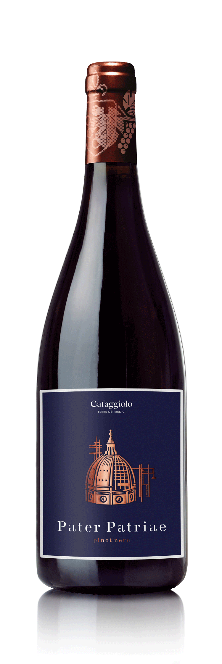 Tenuta Cafaggiolo Patriae P Nr 2015 750 ML Italian red wine bottle.