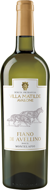 Bottle of Villa Matilde Fiano di Avellino 750 ML Italian white wine with pear and citrus notes