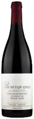Frederic Esmonin Les Montvrieres Pinot Noir 2023 750 ML