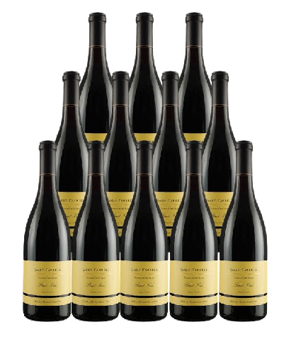 Gary Farrell Russian River Valley Pinot Noir 2022 750 ML (12 Bottles)