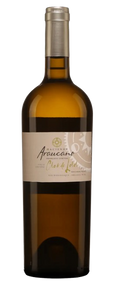 Araucano Clos de Lolol 2020 750 ML