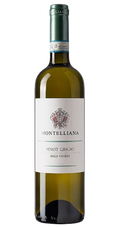 Cantina Montelliana Delle Venezie Pinot Grigio 2023 750 ML