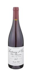 Nicolas Potel Santenay Clos Rousseau Premier Cru 2017 750 ML