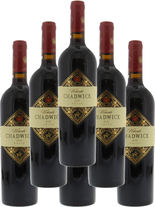 Chadwick Cabernet Sauvignon Puente Alto 2018 750 ML (6 Bottles) – premium Chilean wine with deep fruit flavors, balanced tannins, and a long, smooth finish.