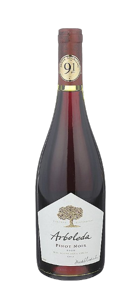 Arboleda Pinot Noir Aconcagua Coast 2020 750 ML