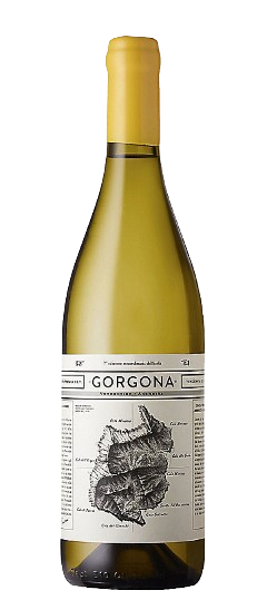 Frescobaldi Costa Toscana Bianco Gorgona 2022 750 ML Buy Now Online
