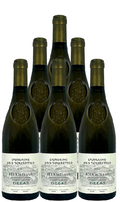 Delas Hermitage Domaine Des Tourettes 2021 750 ML (6 Bottles)