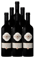 Camigliano Brunello Di Montalcino Riserva Gualto 2018 750 ML (6 Bottles)