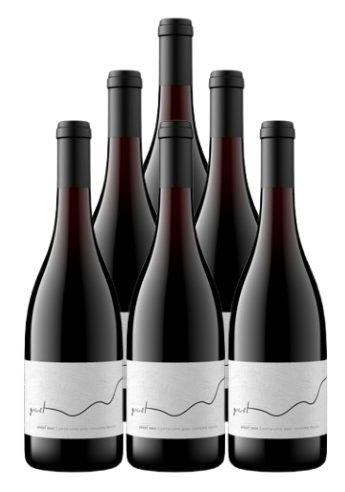 Gust Pinot Noir Petaluma Gap 2024 750 ML (6 Bottle)
