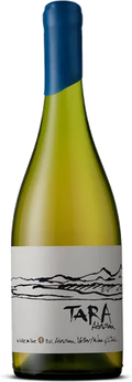 Tara Chardonnay Atacama 750 ML 2021