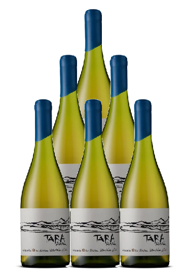 Tara Chardonnay Atacama 750 ML 2021 (6 Bottles)