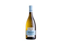 Cesari 2024 Cesari Centofilari Bianco Garda 2023 750 ML bottle