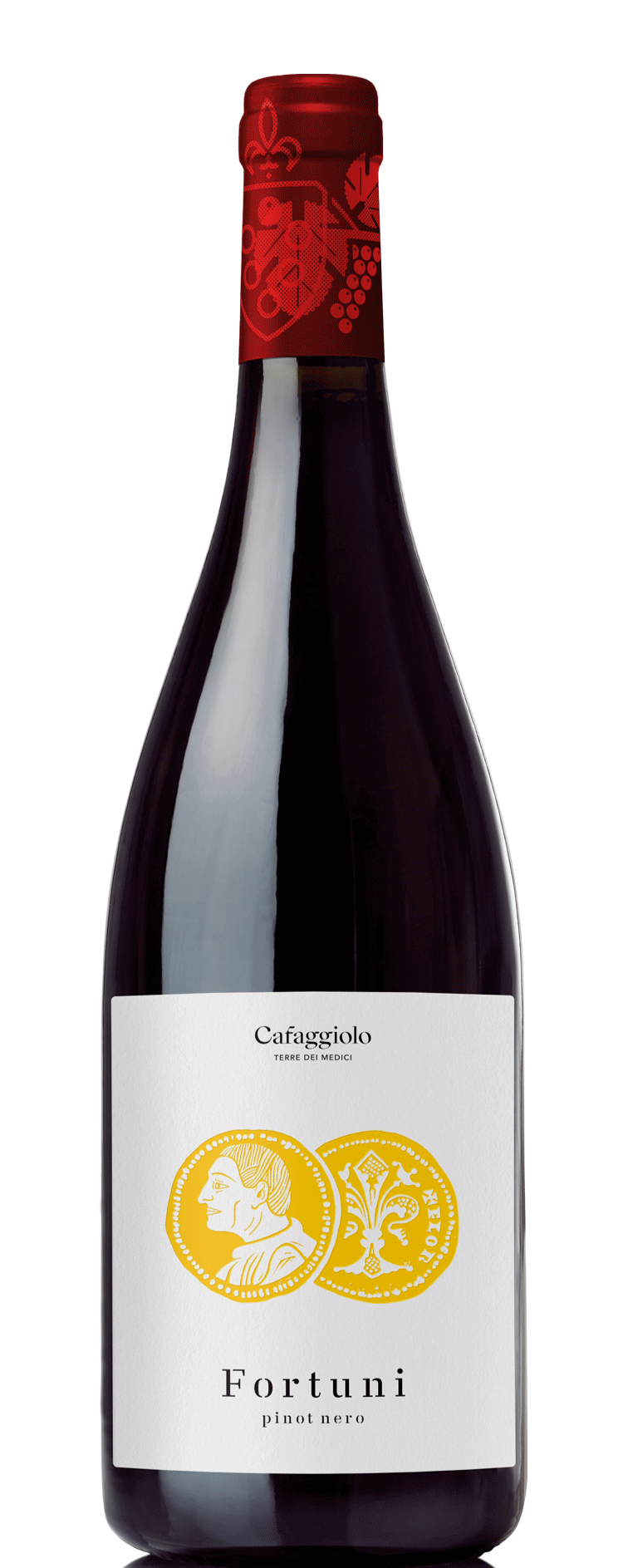 Tenuta Cafaggiolo Fortuni Pinot Nero 2012 750 ML