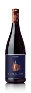 Tenuta Cafaggiolo Patriae P Nr 2015 750 ML Italian red wine bottle.