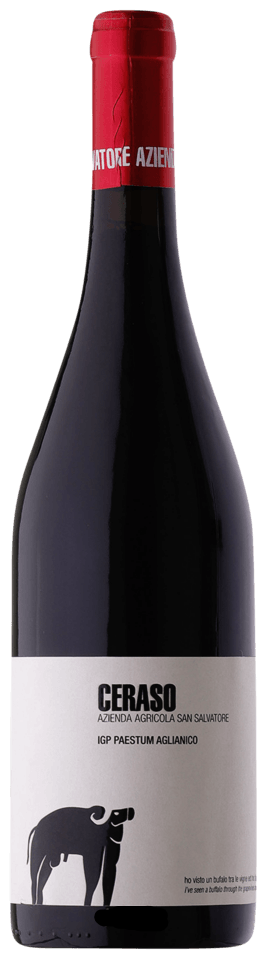 San Salvatore Paestum Aglianico Ceraso 2022 750 ML