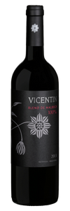 Vicentin Mendoza Blend de Malbecs 750 ML