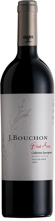 J. Bouchon Cabernet Sauvignon Valle del Maule 750 ML