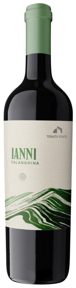 Tenuta Ponte Ianni Falanghina 2024 750 ML