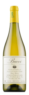 Bucci Verdicchio Dei Castelli Di Jesi Classico