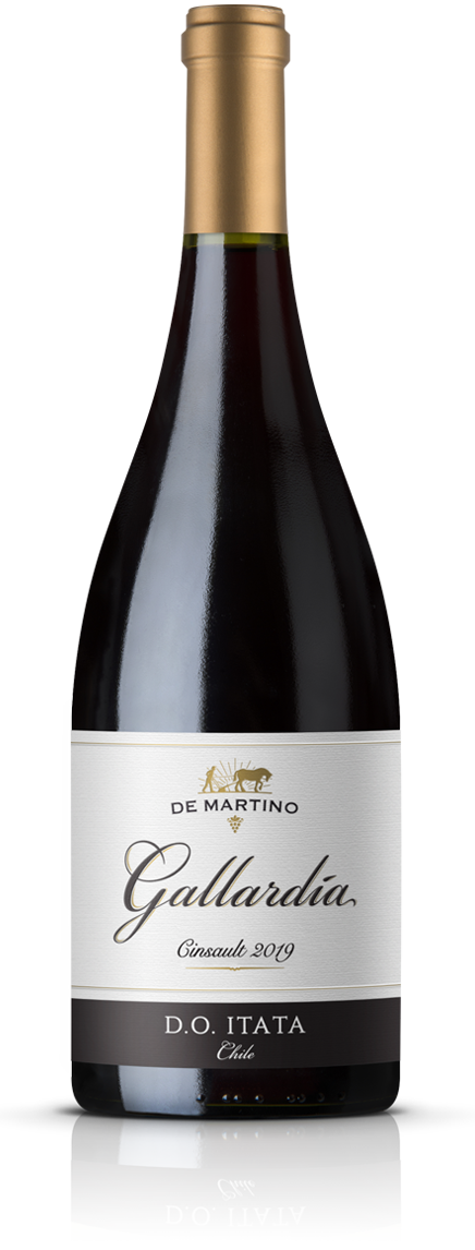 De Martino Cinsault Gallardia Valle Del Itata 2020 750 ML
