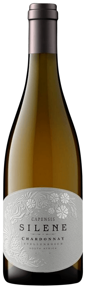 Capensis Silene Chardonnay 2023 750 ML