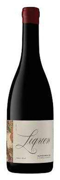 Joao Cabral Almeida Liquen Alfrocheiro 2020 750 ML