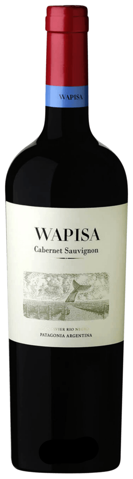 Wapisa Cabernet Sauvignon Patagonia 2021 750 ML