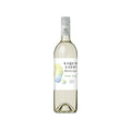 Liquid Light Pinot Grigio Washington 750 ML