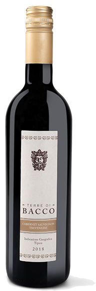 Terre di Bacco Cabernet Sauvignon 2020 750 ML