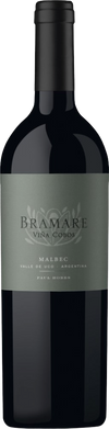 Vina Cobos Malbec Bramare Lujan de Cuyo 2019 750 ML