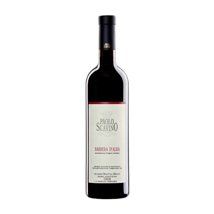 Paolo Scavino Barbera d'Alba 2024 750 ML
