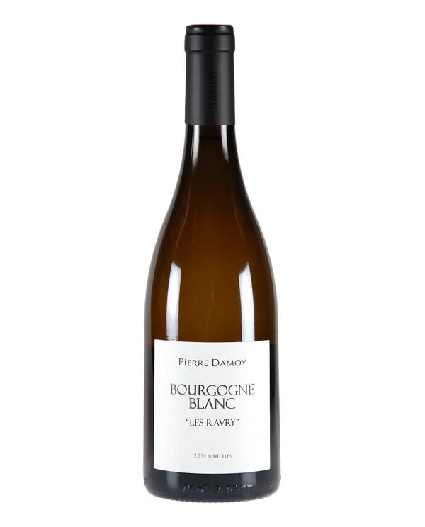 Pierre Damoy Bourgogne Chardonnay Les Ravry 2019 750 ML