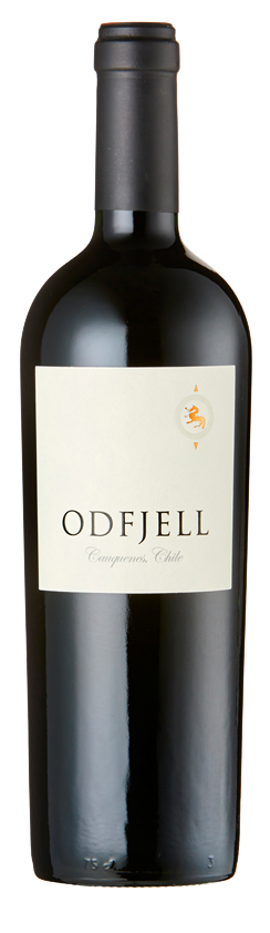 Odfjell Vineyards Cabernet Sauvignon Tres Esquinas Vineyard Cauquenes 2015 750 ML