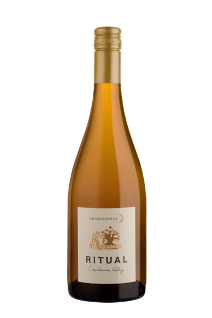 Ritual Chardonnay Casablanca Valley 2019 750 ML