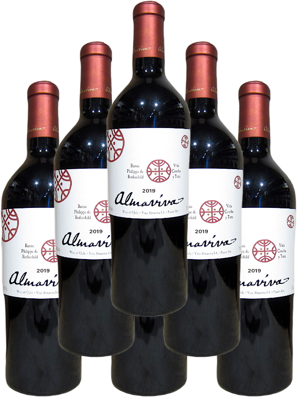 Almaviva Red Puente Alto 2019 750 ML 6 bottles Chilean Bordeaux blend wine