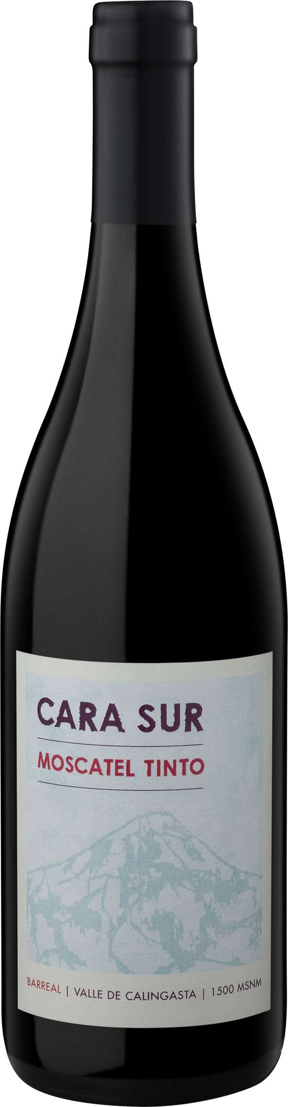 Cara Sur Moscatel Tinto Finca Maggio Barreal 2020 750 ML