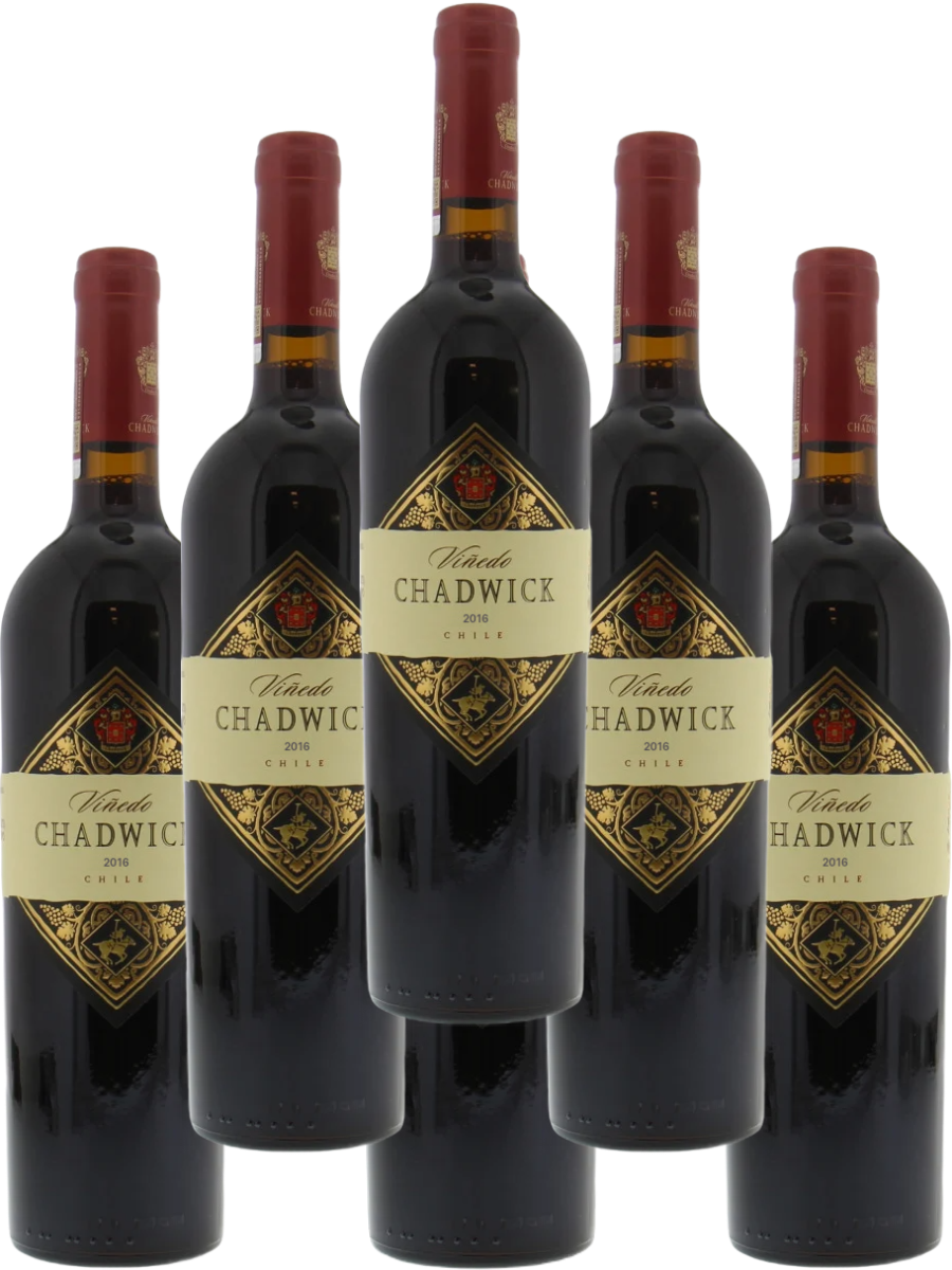 Chadwick Cabernet Sauvignon Puente Alto 2016 750 ML (6 Bottles)
