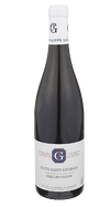 Philippe Gavignet Nuits Saint Georges Vieilles Vignes 2020 750 ML