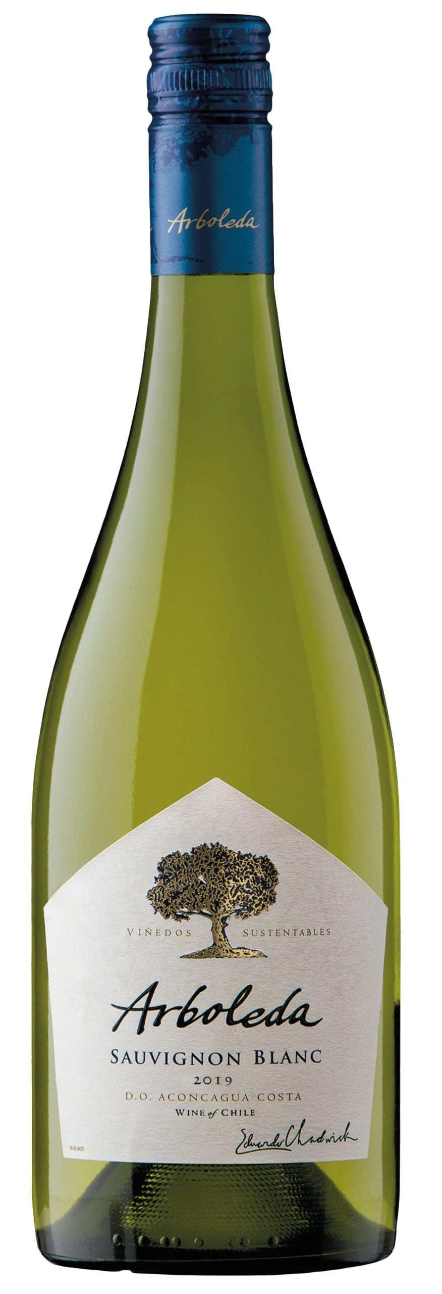Arboleda Sauvignon Blanc Aconcagua Coast 2019 750 ML