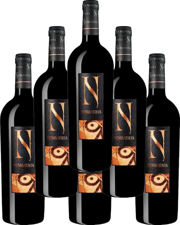 Numanthia Toro 2017 750 ML (6 Bottles)