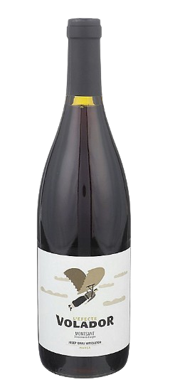 Josep Grau Montsant L'efecte Vinyes Singulars 2022 750 ML