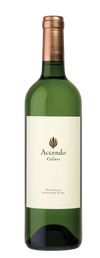 Accendo Sauvignon Blanc Napa Valley 2022 750 ML