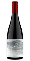 Gabrielskloof Syrah On Shale The Landscape Series Bot River 2019 750 ML