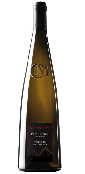 Ca'montini Pinot Grigio Terre Di Valfredda Trentino 2024 750 ML