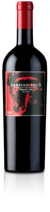 Caballo Loco Grand Cru Maipo 2020 Valley 750 ML