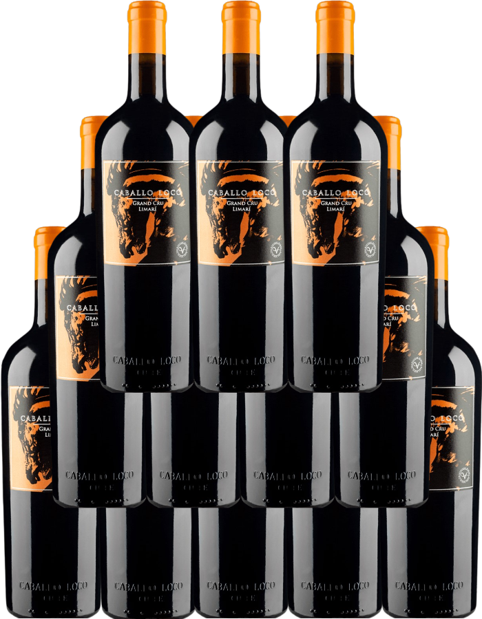 12-bottle case of Caballo Loco Grand Cru Limarí Valley 2021 red wine