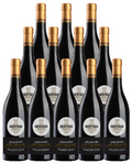 Bertani Amarone della Valpolicella Valpantena 2021 750 ML (12 Bottles)