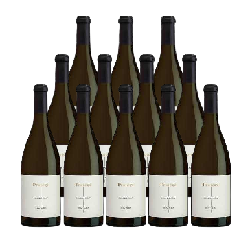 Protege Chardonnay Napa Valley 2022 750 ML (12 Bottles)