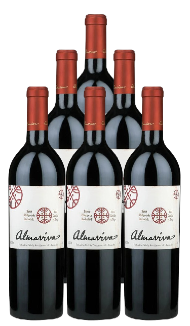Almaviva Red Wine Puente Alto 2022 750 ML (6 Bottles)